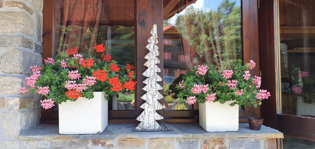 Hotel Alp-hotel